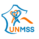 UNMSS